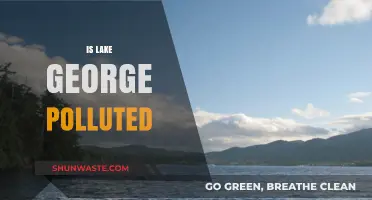 Lake George: Is It Polluted?