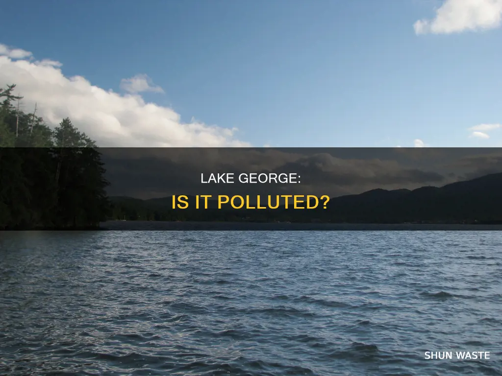 is lake george polluted