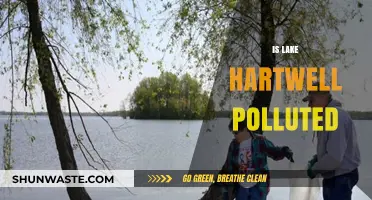 Lake Hartwell: A Polluted Paradise?