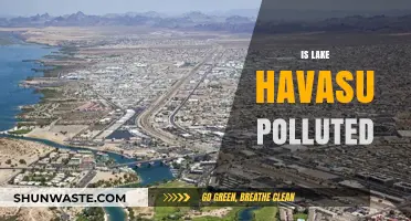 Lake Havasu's Pollution Problem: What's Happening?