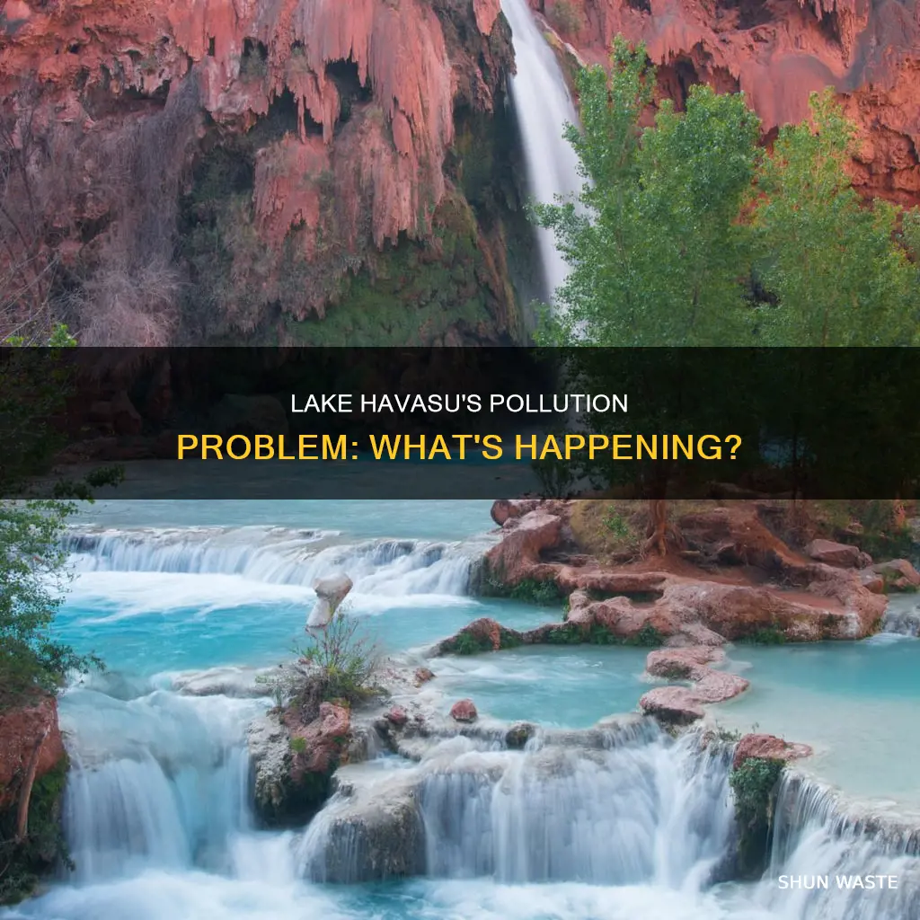 is lake havasu polluted