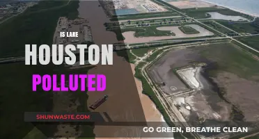 Houston's Lake: A Polluted Paradise?