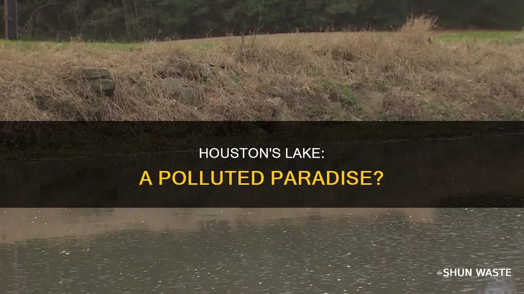 is lake houston polluted