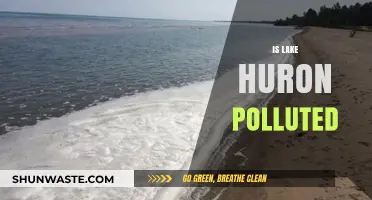Lake Huron's Pollution Problem: What's the Status?