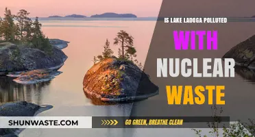 Lake Ladoga: Nuclear Waste Contamination Threat?