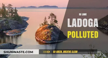 Lake Ladoga: A Polluted Paradise?