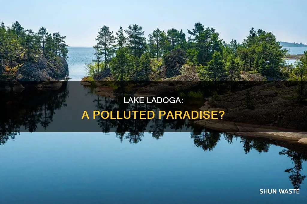 is lake ladoga polluted