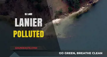 Lake Lanier: A Polluted Paradise?
