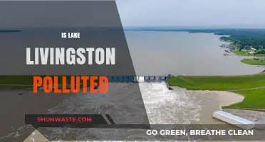 Lake Livingston: Is It Polluted?