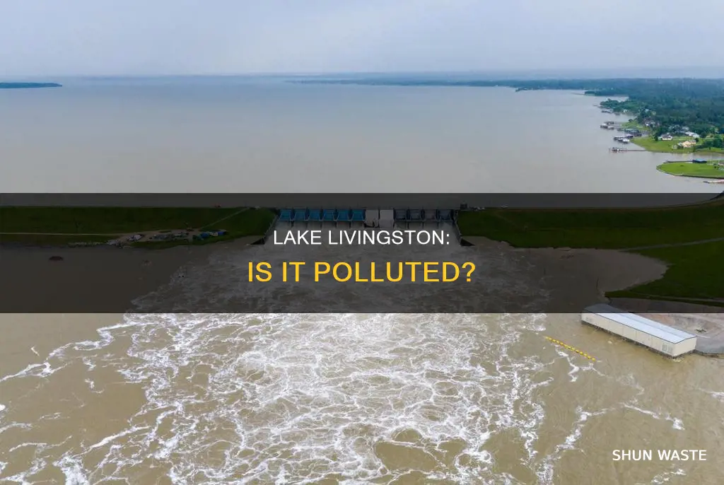 is lake livingston polluted