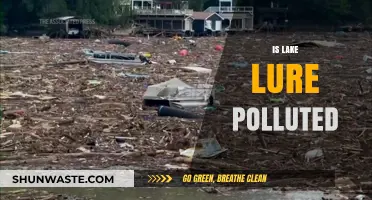 Lake Lure's Pollution Problem: Is It Getting Worse?