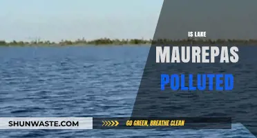 Lake Maurepas: A Polluted Paradise?