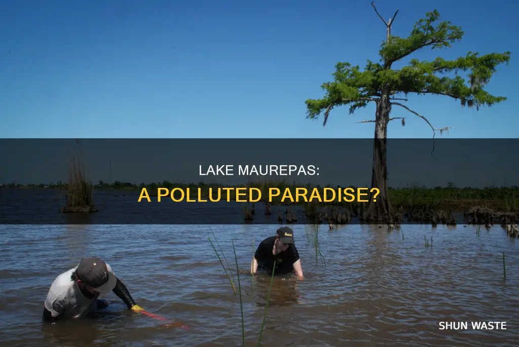 is lake maurepas polluted