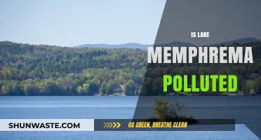Lake Memphremagog: A Polluted Paradise?