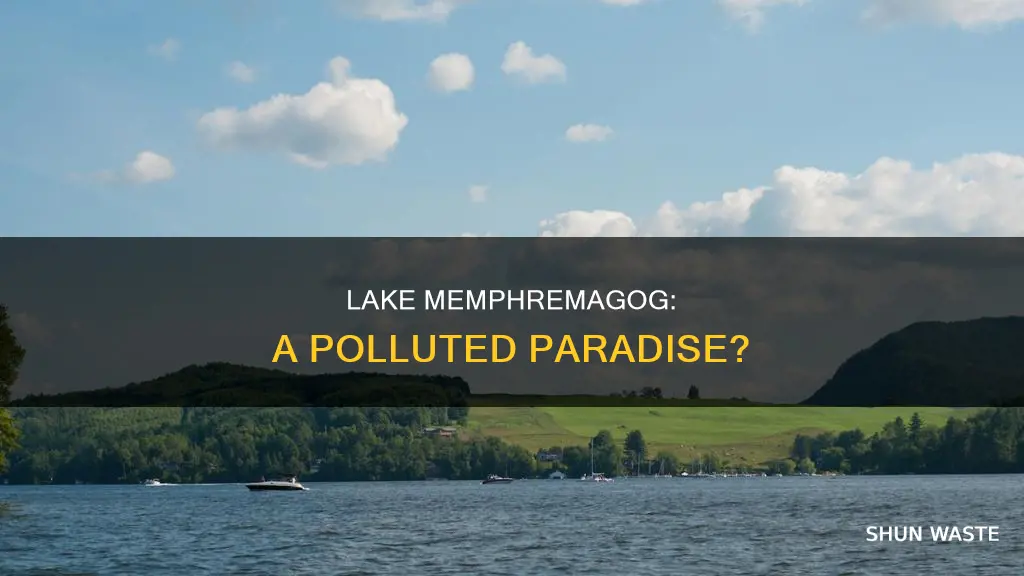 is lake memphremagog polluted