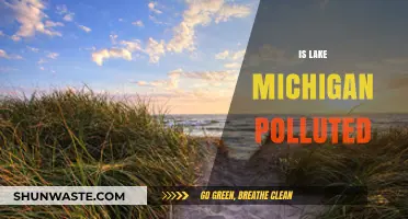 Lake Michigan's Pollution Problem: What's the Deal?