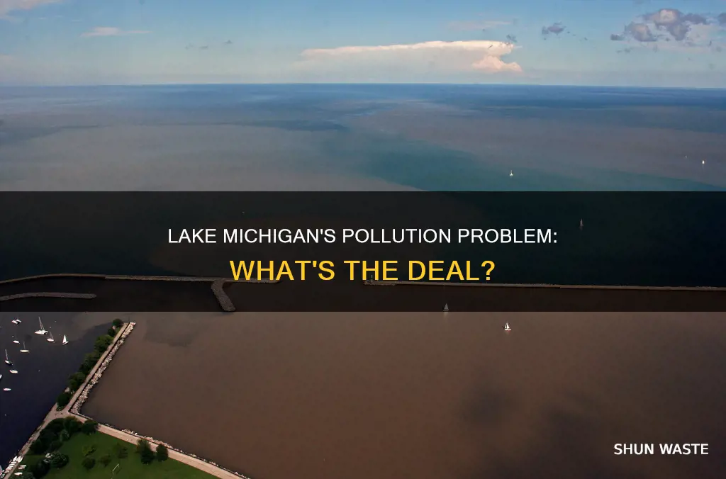 is lake michigan polluted