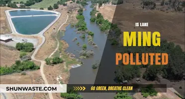 Lake Ming's Pollution Problem: A Troubled Waterway