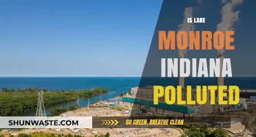 Lake Monroe, Indiana: Pollution and Its Impact