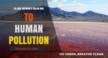 The Mystery Behind Lake Natron's Color: Pollution or Nature?
