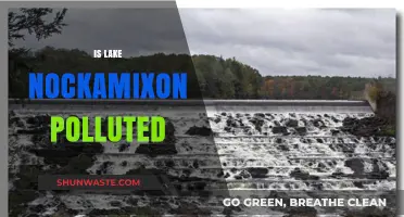 Lake Nockamixon: Pollution Threat or Pristine Paradise?