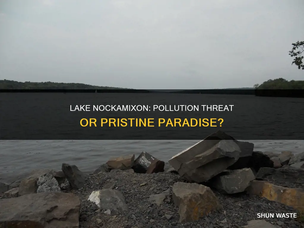 is lake nockamixon polluted