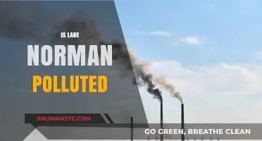 Lake Norman: A Polluted Paradise?