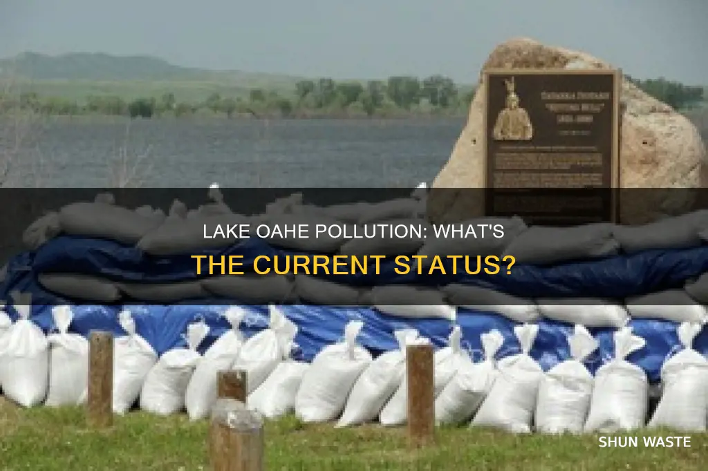 is lake oahe full of pollution