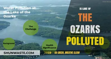 Lake of the Ozarks: A Polluted Paradise?