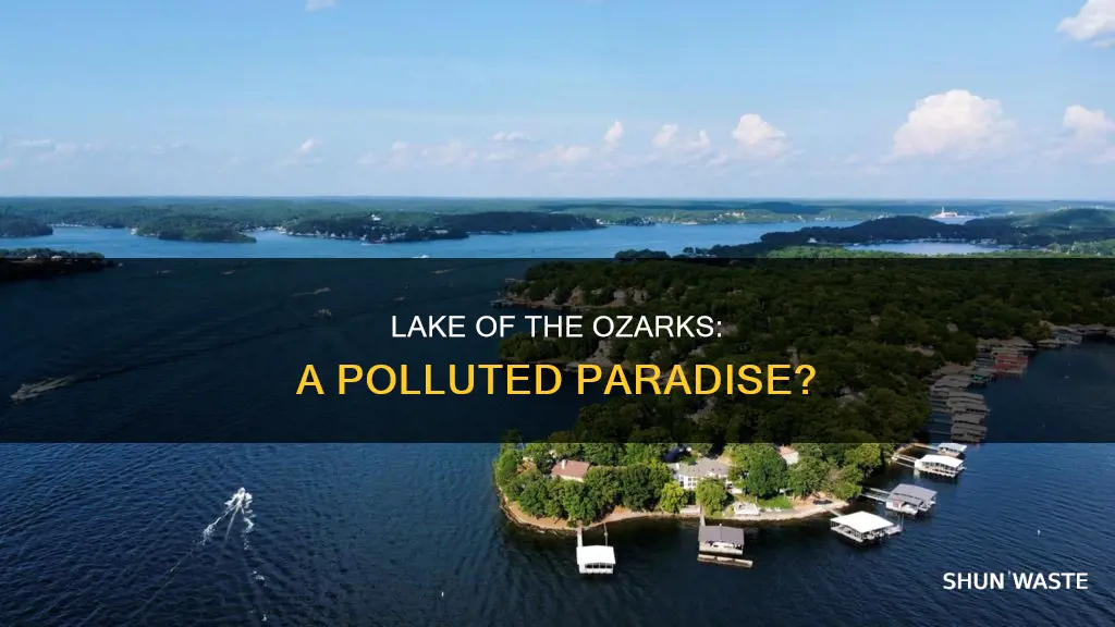 is lake of the ozarks polluted