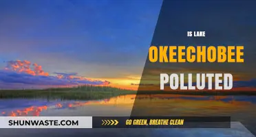 Lake Okeechobee: A Polluted Paradise?