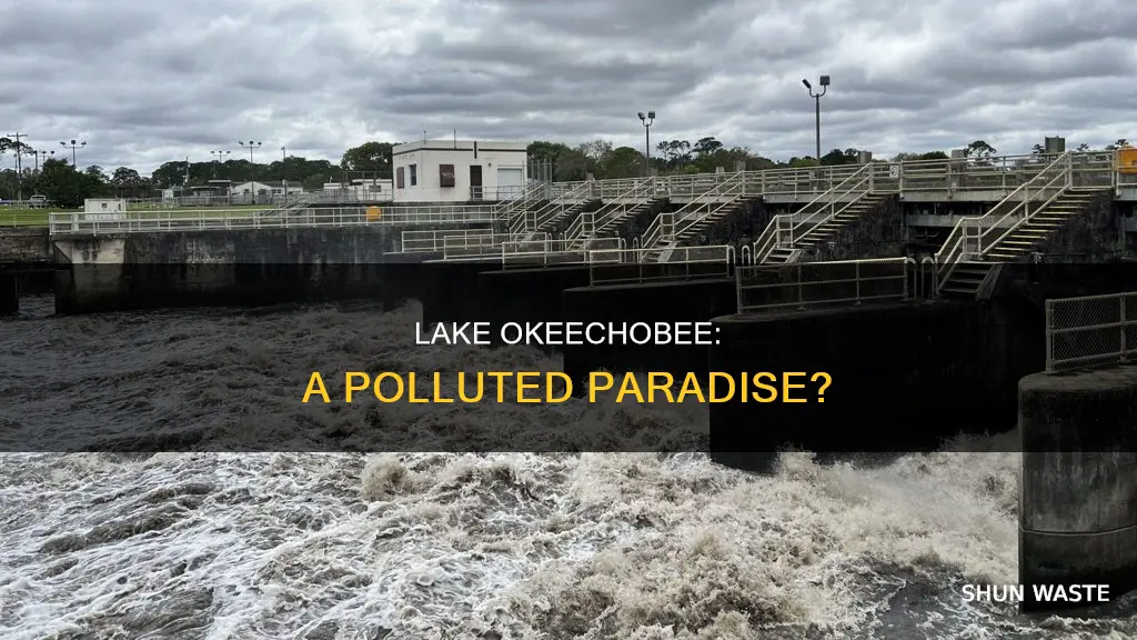 is lake okeechobee polluted