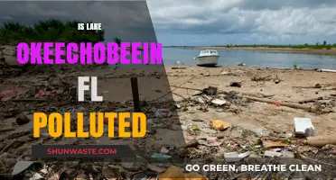 Lake Okeechobee: A Polluted Paradise?