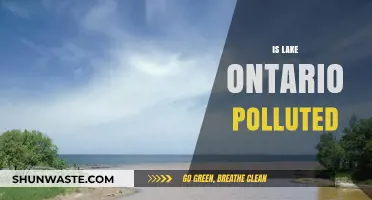 Lake Ontario's Pollution Problem: A Troubled Waterway