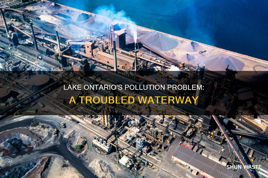 is lake ontario polluted