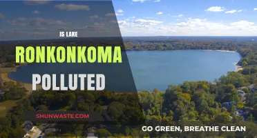 Lake Ronkonkoma's Pollution Problem: Is It Safe?