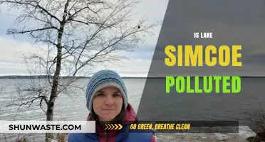 Lake Simcoe's Pollution Problem: Is It Getting Worse?