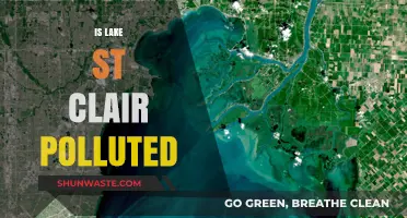 Lake St. Clair's Pollution Problem