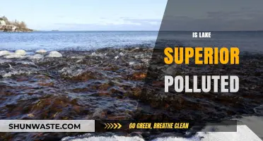 Superior Lake's Pollution: A Growing Concern?