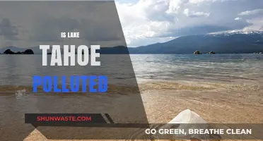 Lake Tahoe's Pollution Problem: Is It Getting Worse?