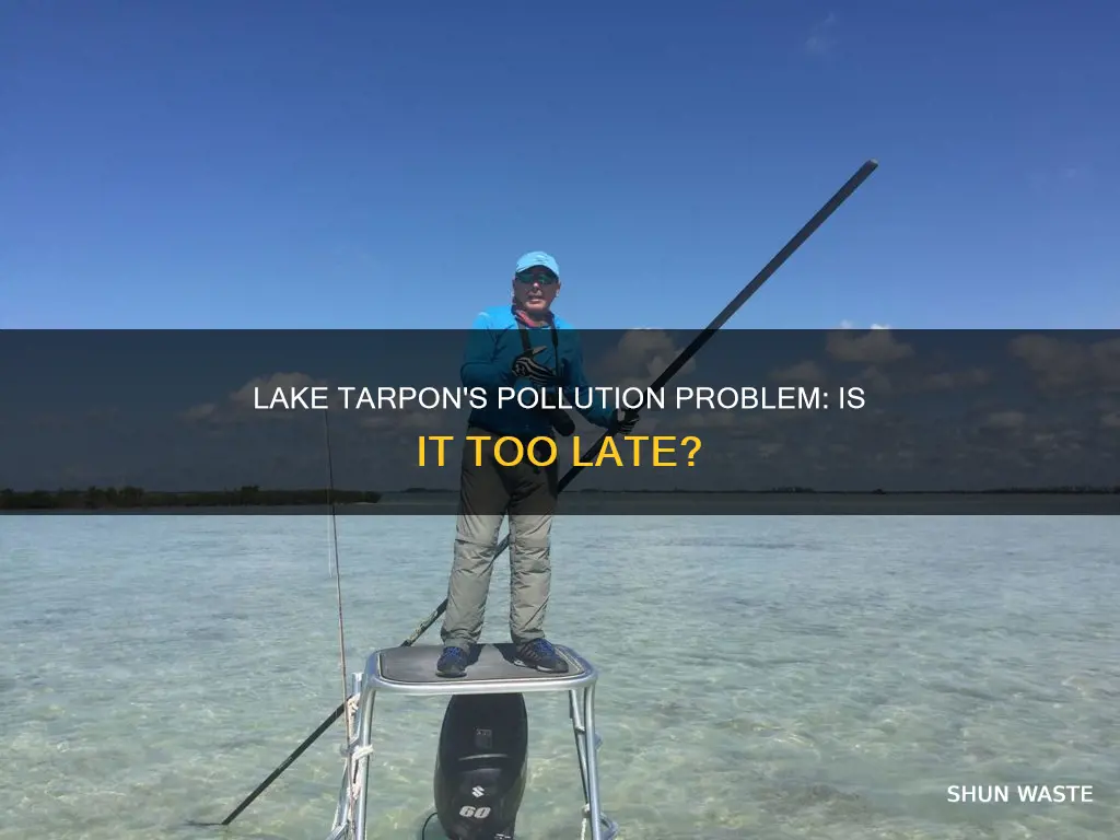 is lake tarpon polluted