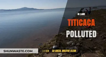 Lake Titicaca's Pollution Problem: Is It Too Late?