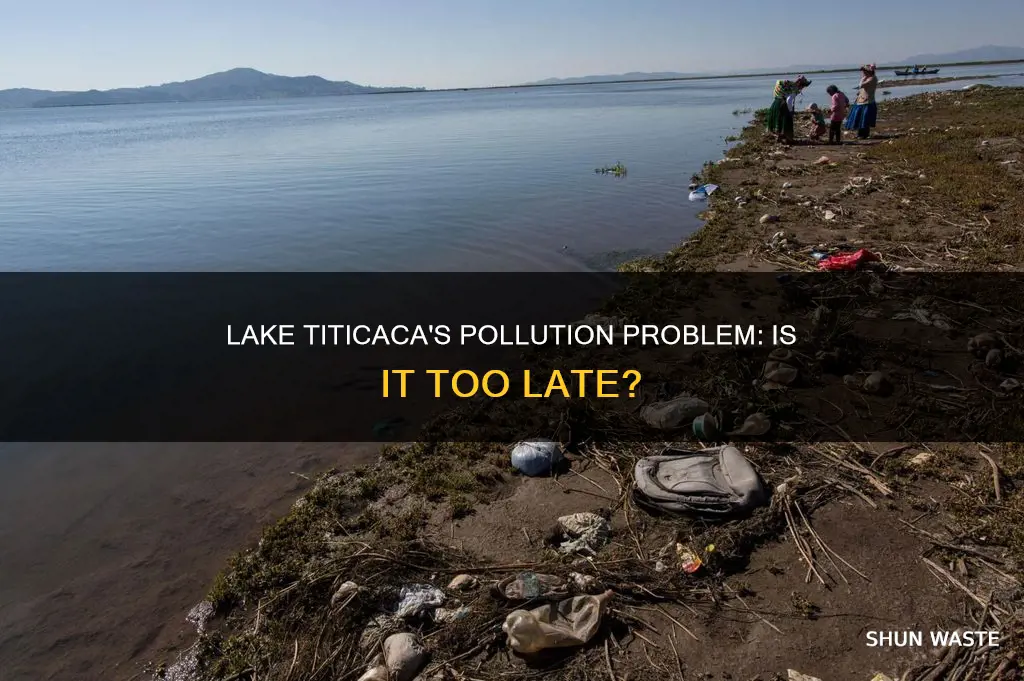 is lake titicaca polluted