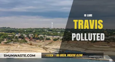 Lake Travis: Polluted Paradise?