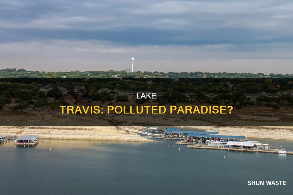 is lake travis polluted