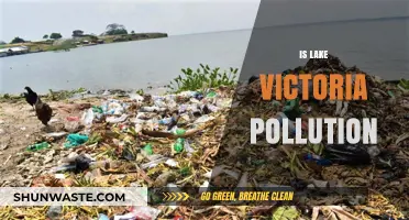 Lake Victoria's Pollution Crisis: An Urgent Call to Action