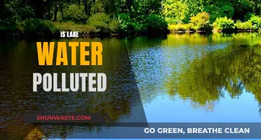 Is Lake Water Polluted? Unveiling the Truth Beneath the Surface