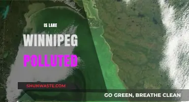 Winnipeg's Water Woes: Is the Lake Polluted?