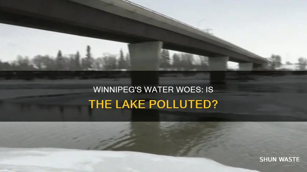 is lake winnipeg polluted