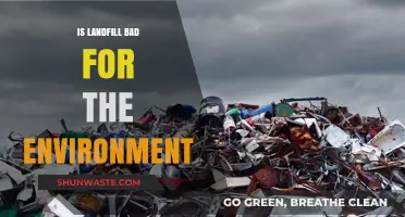 Landfills' Environmental Impact: Harmful Effects and Sustainable Alternatives Explored